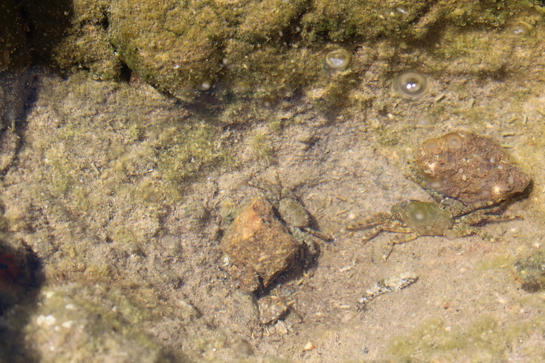Новый отель The Blue Bosphorus Бодрум