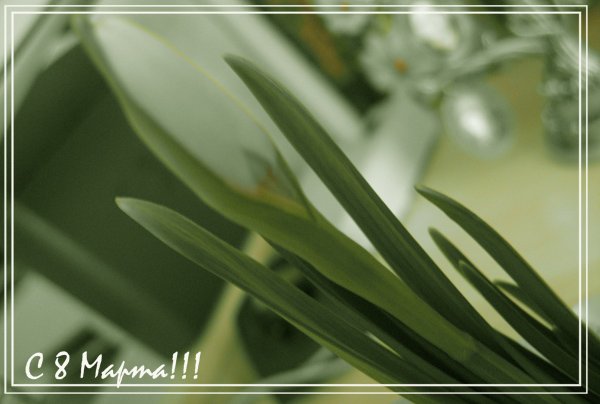 С Весной, девочки!