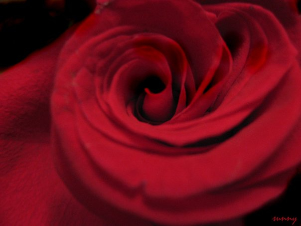 С Весной, девочки!