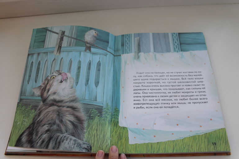 Наши Читалки Июнь - 1 год 6 месяцев