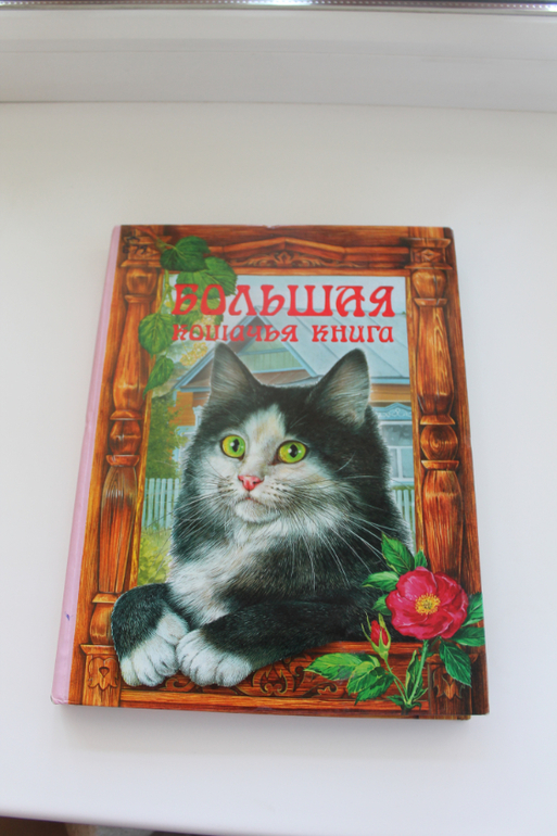 Наши Читалки Июнь - 1 год 6 месяцев