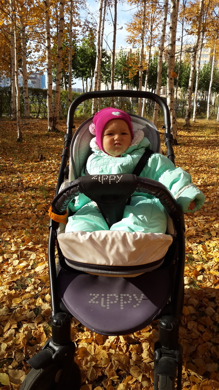 efde292012731d3c6f27b9b4de30ce25.jpg