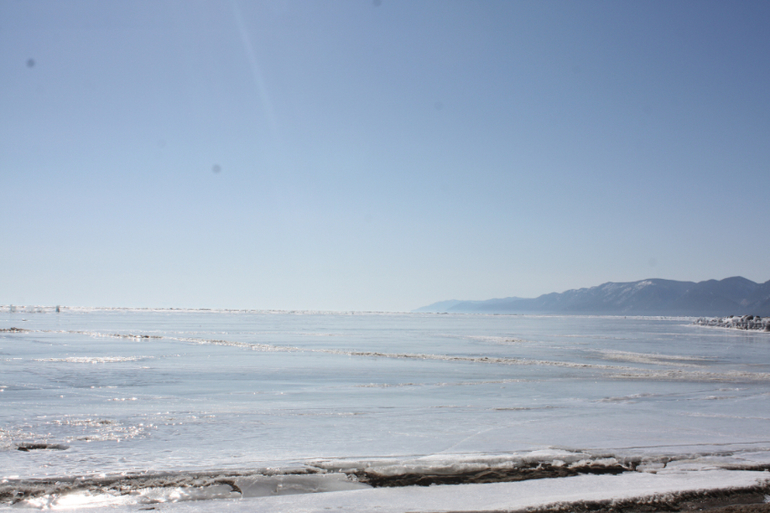 Табун ветров)) международный день ледяного молчания))