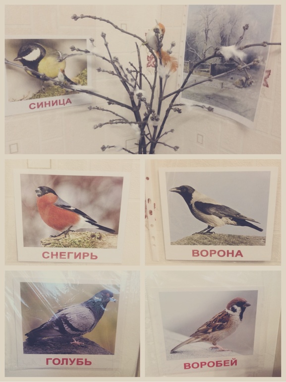 ТН Встречаем зиму