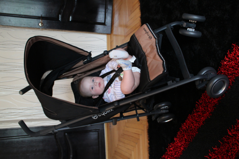 сайбекс оникс