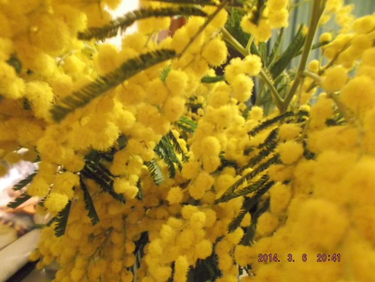 Запах весны.