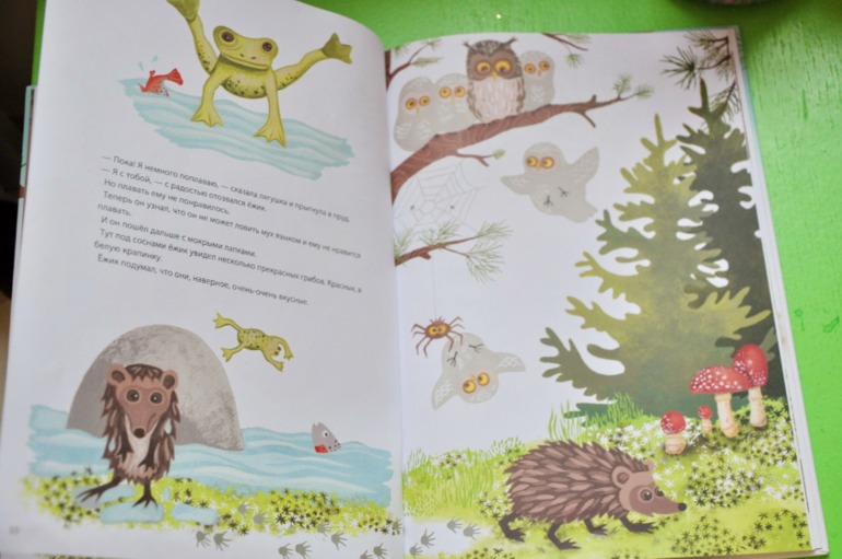 Ежик покидает дом