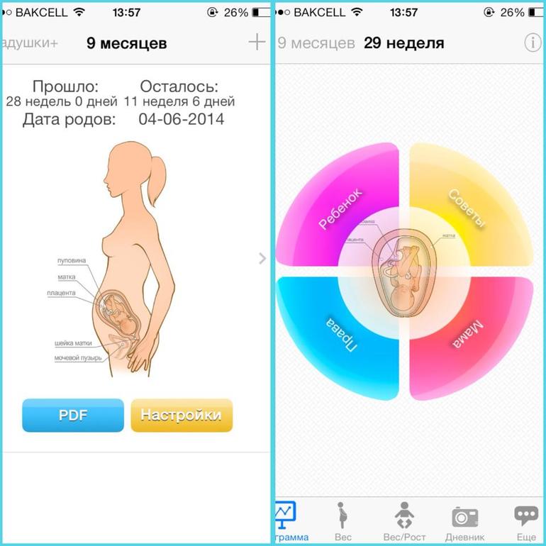 Моя програмка на телефон и схваткосчиталка =)