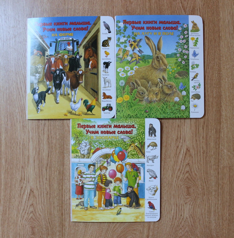 Быстрый КНИГОхвастик!