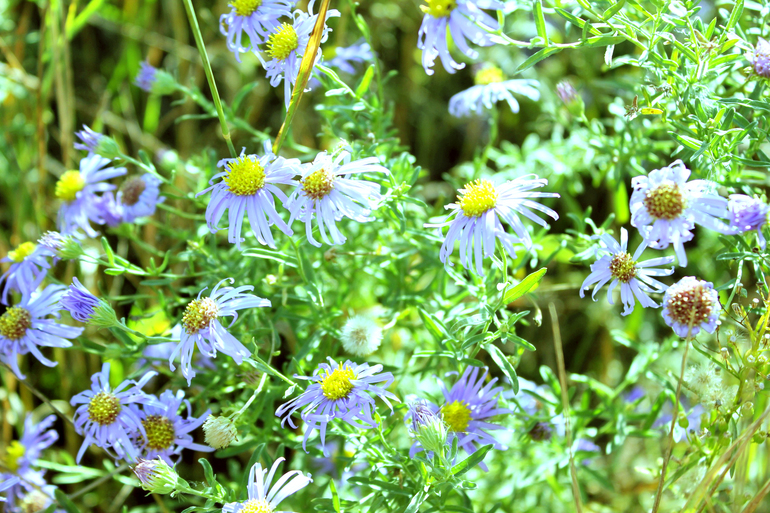 Контрольное задание № 6.