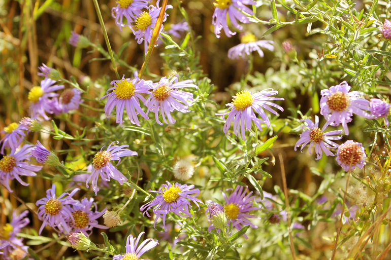 Контрольное задание № 6.