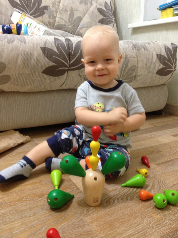 Plan Toys многоплановый.