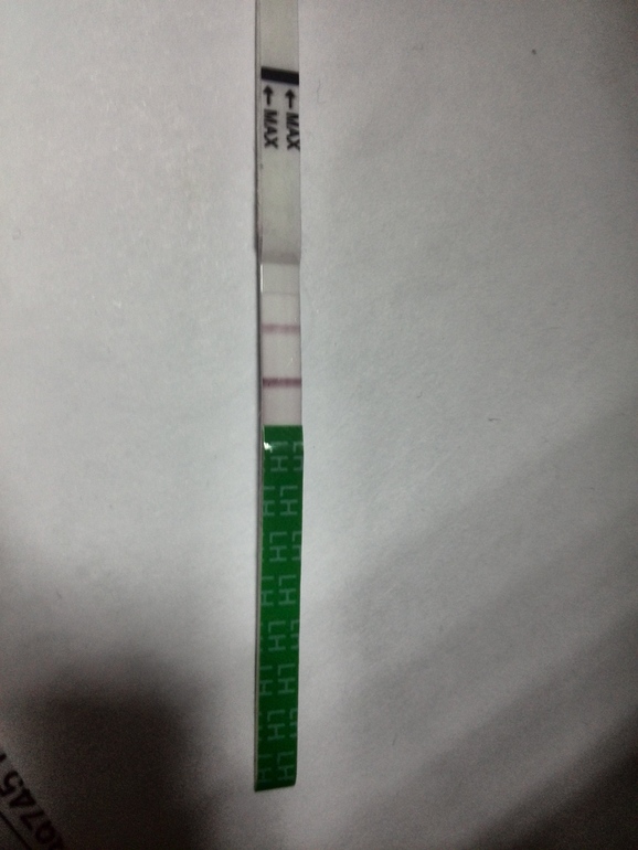 Первые попытки