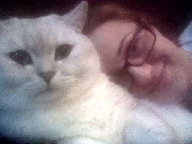 Солнечного утра)