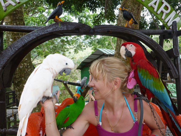 Парадайз парк