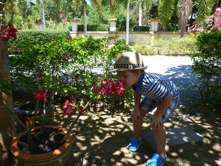 Первые 2 недели на Самуи