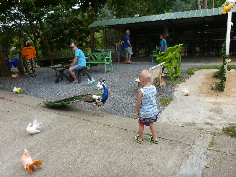 Парадайз парк