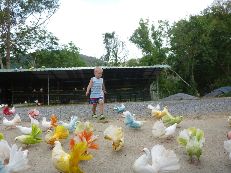 Парадайз парк