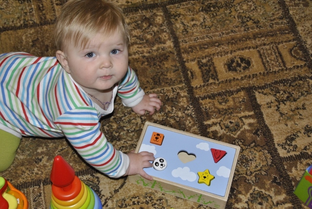 Сашкины радости или чудеса из лавочки. Год первый.