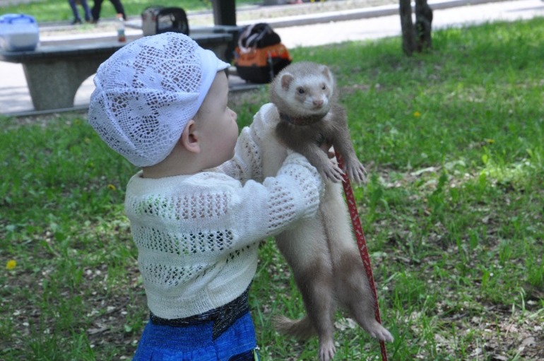 Хорепопики ))))