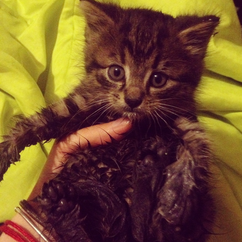 Подарок под капотом