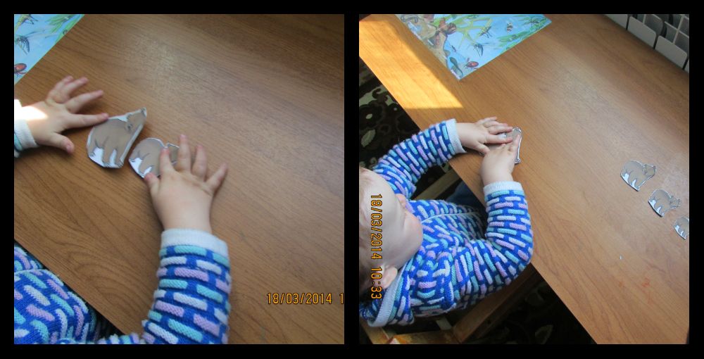 ТН "Лесные друзья" День 2.