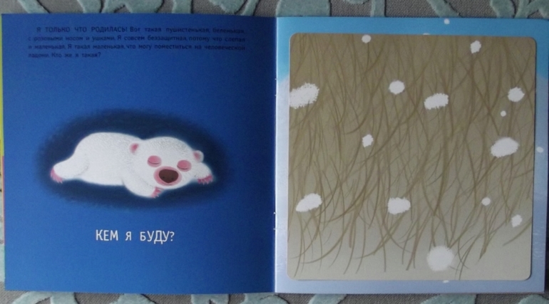 О. Муравьева: Кем я буду?