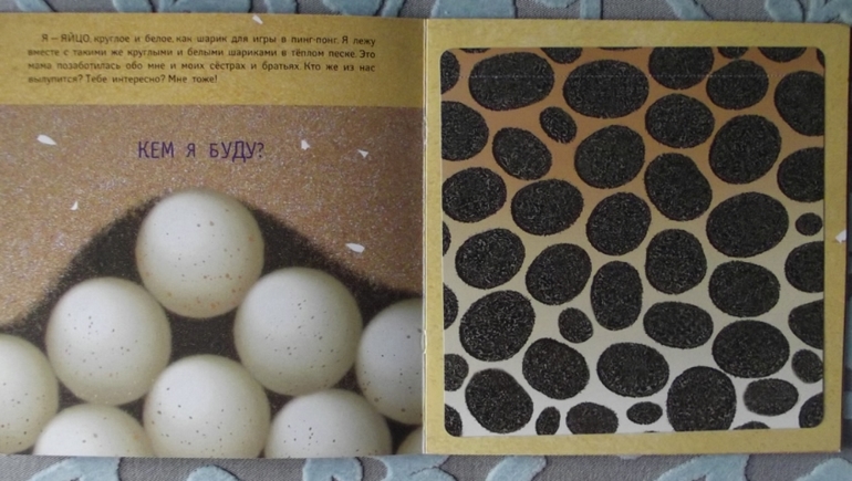 О. Муравьева: Кем я буду?