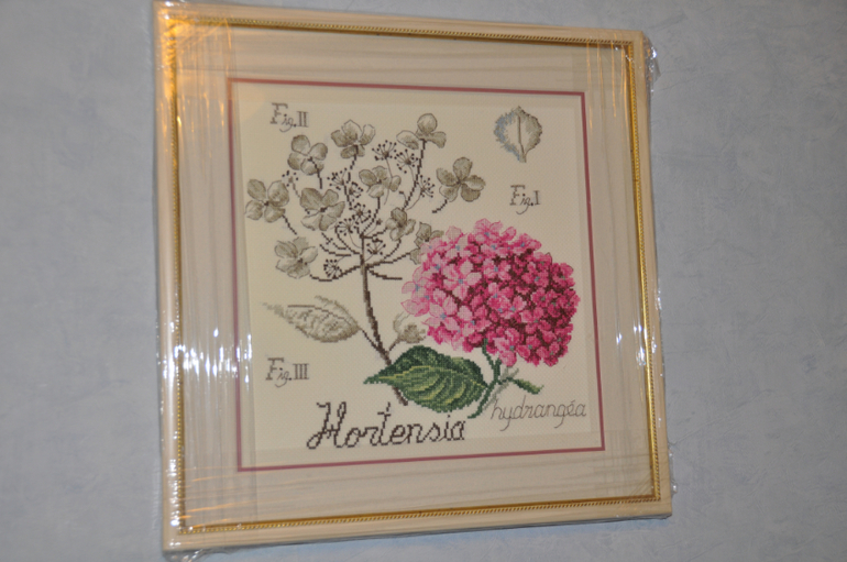 Гортензия - ботаника от DFEA.