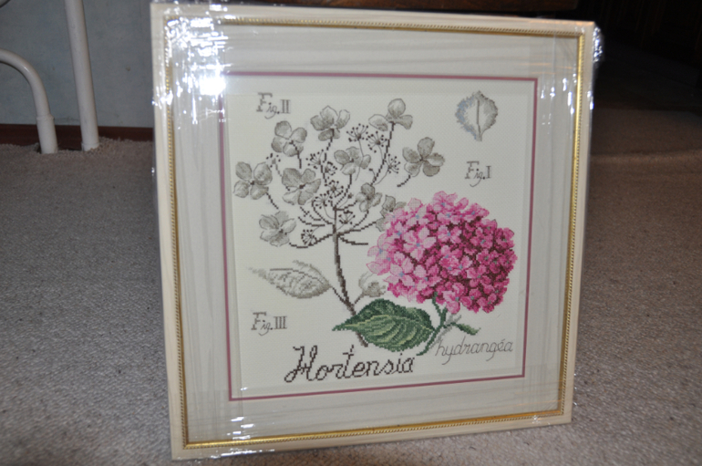 Гортензия - ботаника от DFEA.