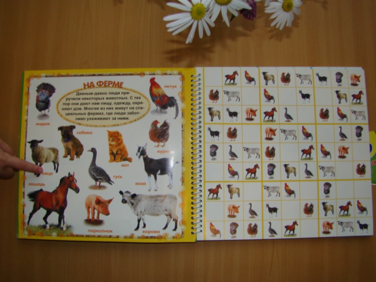 САФАРИ СУДОКУ ДЛЯ ДЕТЕЙ.