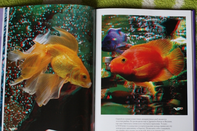 3D книга. Рыбы