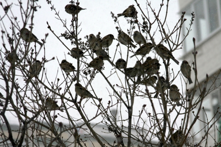 Общественно-полезный труд :)
