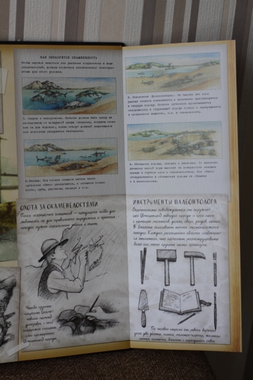 Динозавроведение. Поиски затерянного мира