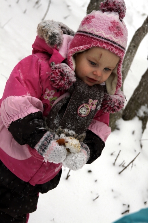 Общественно-полезный труд :)