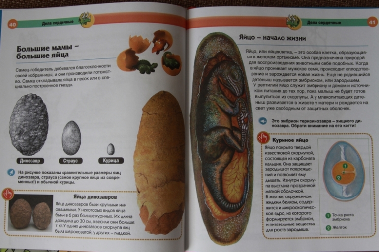 Познакомься, мама...