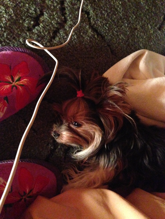 Дачники мои)