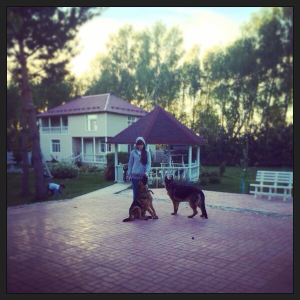 Дачники мои)