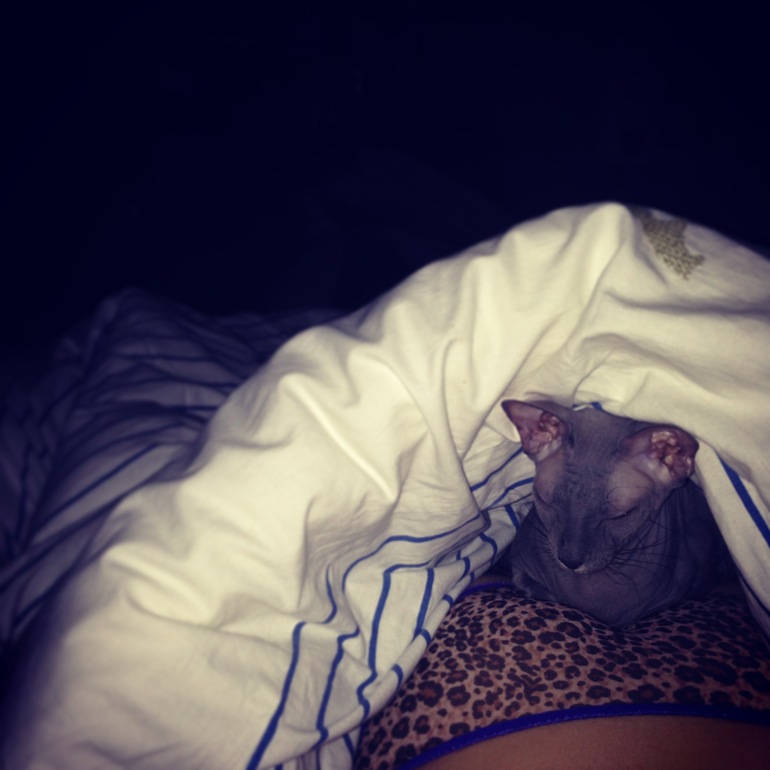 Фото моих девочек)))