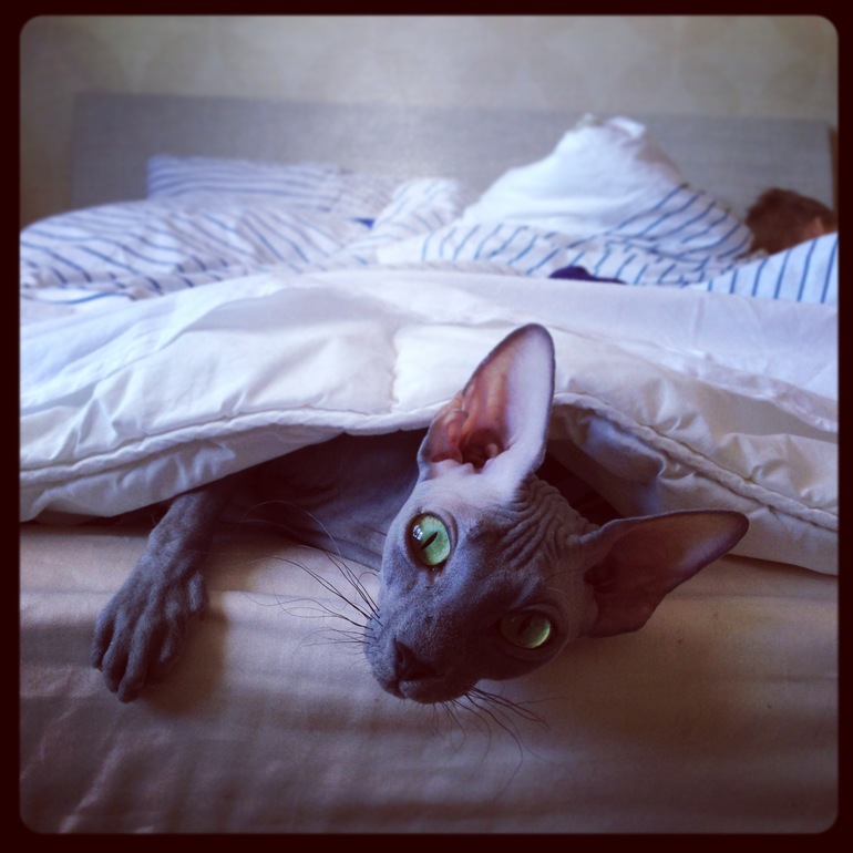 Фото моих девочек)))