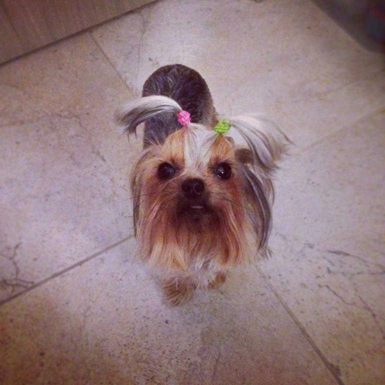 Прогулочное!))