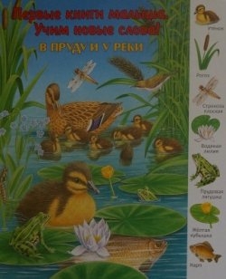 Виммельбухомания