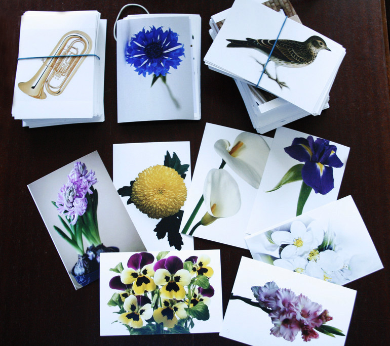 Флеш-карты, Шичида