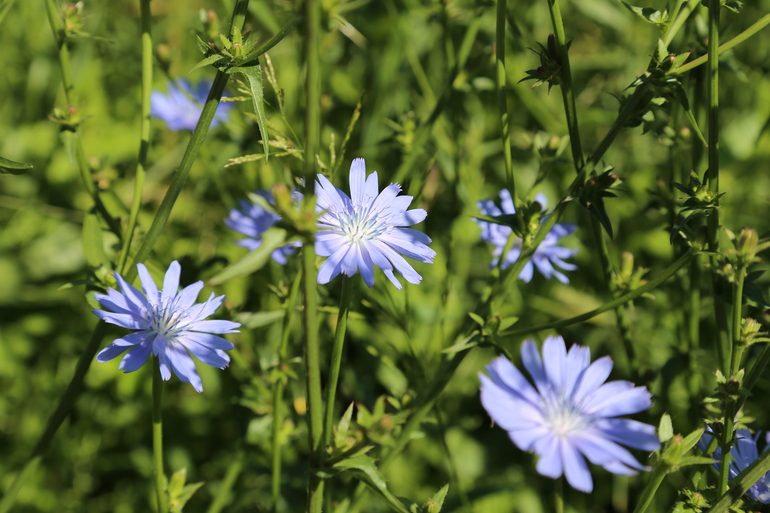 Навстречу природе