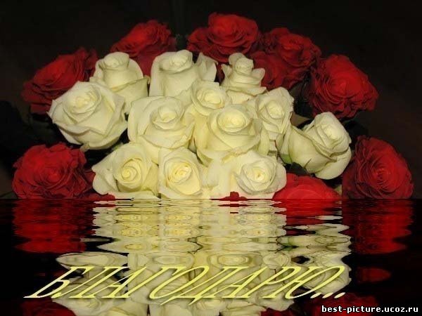 25d9f6fcd6ab54e7d090cbc2f43b92d9.jpg