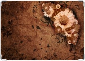 пристрой кожаные обложки, студенческий, права и т.д