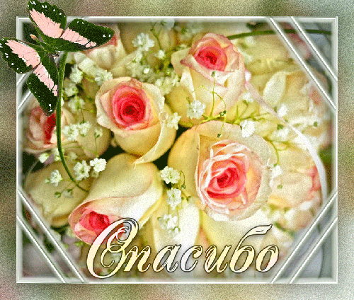 Огромное спасибо Анютке за билетики!!!