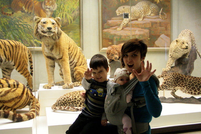 Дарвинский музей