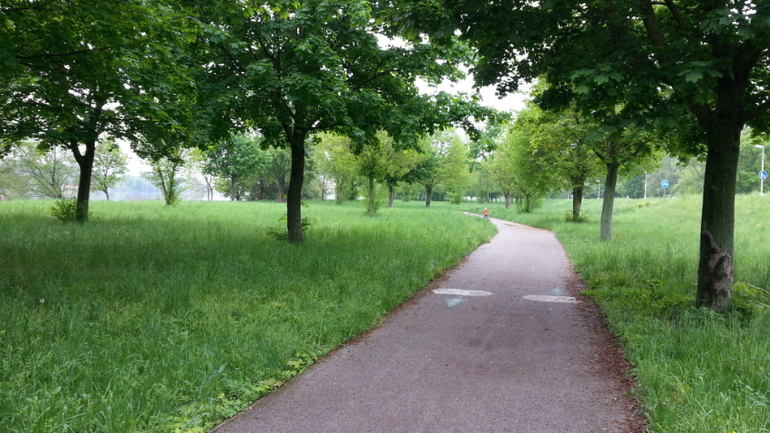 Пиештяны (Словакия). Велосипедные зарисовки.