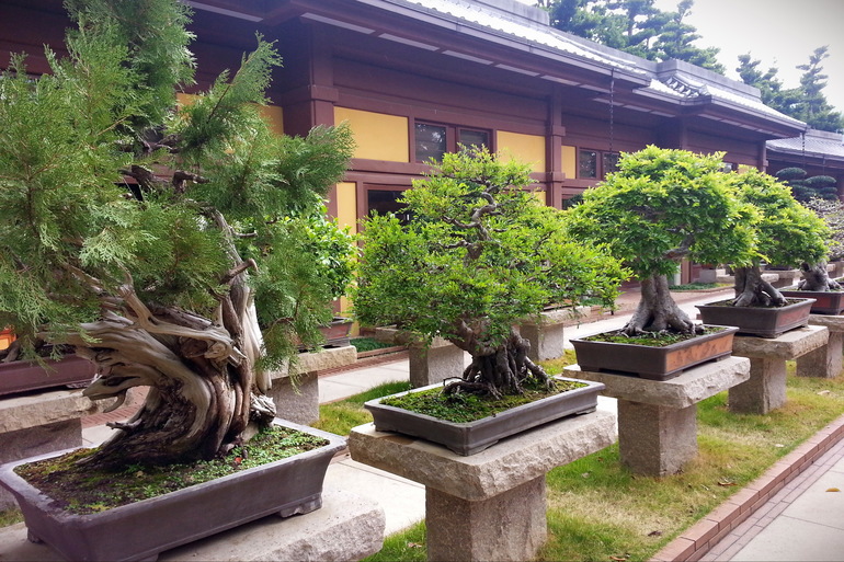 Гонконг с детьми